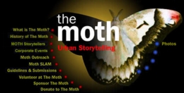 moth.jpg